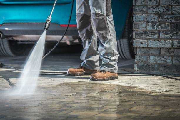 Best Building Exterior Washing  in Canton, MS