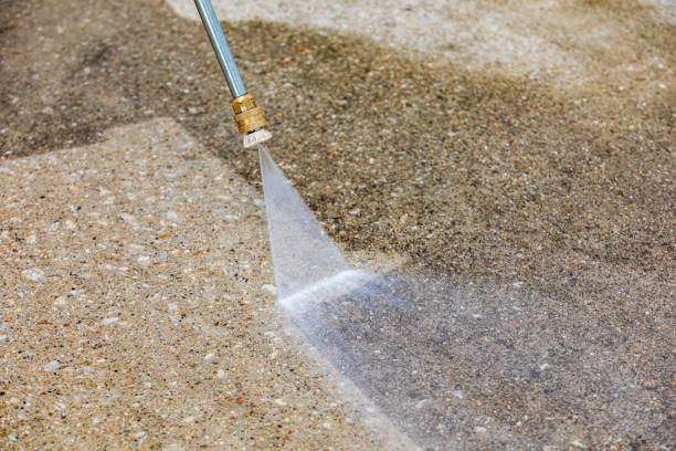Best Animal Enclosure Cleaning  in Canton, MS